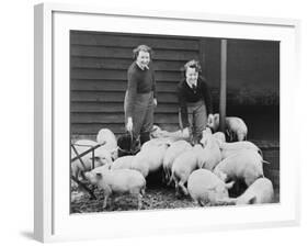 Land Girls Working Feeding Pigs on a Farm During World War II-Robert Hunt-Framed Photographic Print