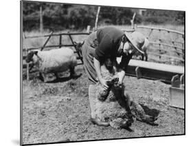 Land Girls WWII-Robert Hunt-Mounted Photographic Print