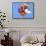 Land Hermit Crab, Florida, USA-David Northcott-Framed Stretched Canvas displayed on a wall