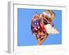 Land Hermit Crab, Florida, USA-David Northcott-Framed Premium Photographic Print