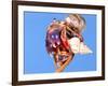 Land Hermit Crab, Florida, USA-David Northcott-Framed Photographic Print