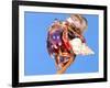 Land Hermit Crab, Florida, USA-David Northcott-Framed Photographic Print