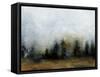 Land IV-Sharon Gordon-Framed Stretched Canvas