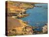 Land of a Thousand Caves-William Wendt-Stretched Canvas