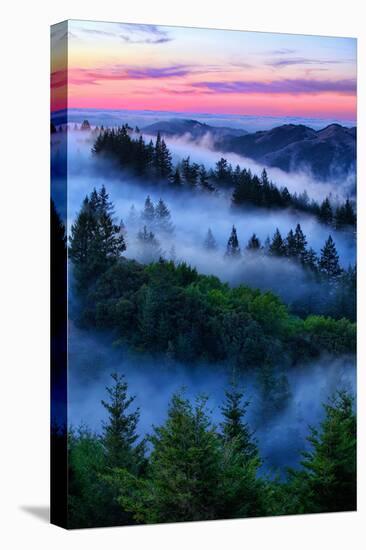 Land of Dreams and Fog, Sunset Over San Francisco Bay Area Hills-Vincent James-Stretched Canvas