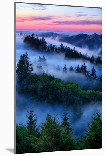 Land of Dreams and Fog, Sunset Over San Francisco Bay Area Hills-Vincent James-Mounted Photographic Print