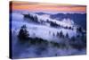 Land of Dreams, Mount Tamalpais, San Francisco, California-Vincent James-Stretched Canvas