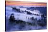 Land of Dreams, Mount Tamalpais, San Francisco, California-Vincent James-Stretched Canvas