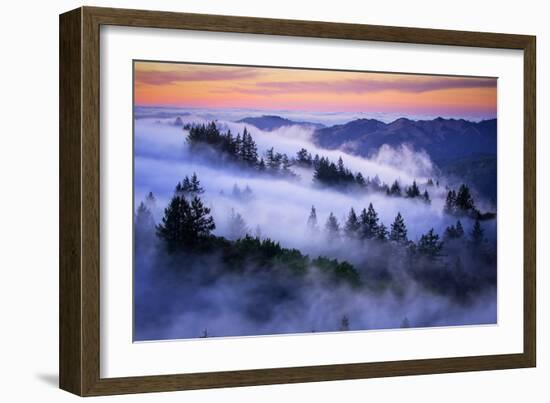 Land of Dreams, Mount Tamalpais, San Francisco, California-Vincent James-Framed Photographic Print