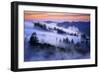 Land of Dreams, Mount Tamalpais, San Francisco, California-Vincent James-Framed Photographic Print