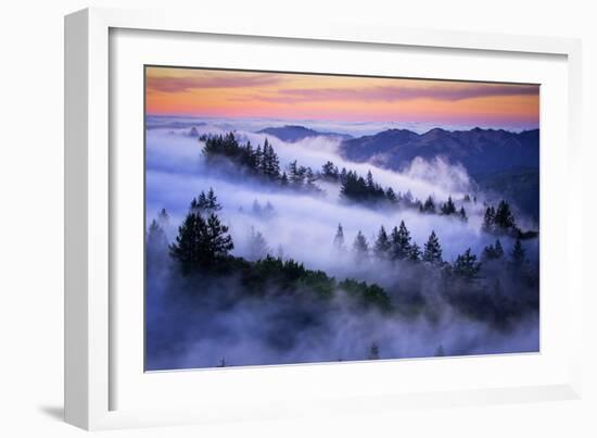 Land of Dreams, Mount Tamalpais, San Francisco, California-Vincent James-Framed Photographic Print