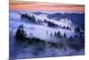 Land of Dreams, Mount Tamalpais, San Francisco, California-Vincent James-Mounted Photographic Print