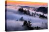 Land of Fog and Dreams, Mount Tamalpais, Marin, Bay Area San Francisco-Vincent James-Stretched Canvas