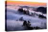 Land of Fog and Dreams, Mount Tamalpais, Marin, Bay Area San Francisco-Vincent James-Stretched Canvas