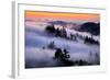 Land of Fog and Dreams, Mount Tamalpais, Marin, Bay Area San Francisco-Vincent James-Framed Photographic Print