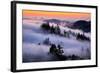 Land of Fog and Dreams, Mount Tamalpais, Marin, Bay Area San Francisco-Vincent James-Framed Photographic Print