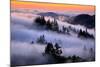 Land of Fog and Dreams, Mount Tamalpais, Marin, Bay Area San Francisco-Vincent James-Mounted Photographic Print