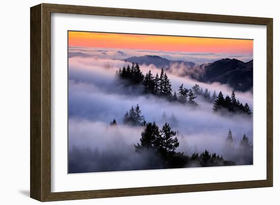 Land of Fog and Dreams, Mount Tamalpais, Marin, Bay Area San Francisco-Vincent James-Framed Photographic Print