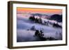 Land of Fog and Dreams, Mount Tamalpais, Marin, Bay Area San Francisco-Vincent James-Framed Photographic Print