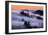 Land of Fog and Dreams, Mount Tamalpais, Marin, Bay Area San Francisco-Vincent James-Framed Photographic Print