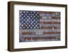 Land of the Free-NBL Studio-Framed Art Print