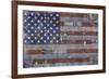 Land of the Free-NBL Studio-Framed Art Print