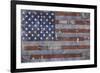 Land of the Free-NBL Studio-Framed Art Print