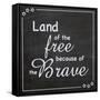 Land of the Free-Lauren Gibbons-Framed Stretched Canvas