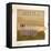 Land Patterns 9-Jan Weiss-Framed Stretched Canvas