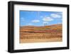 Land Prepared for Development-soupstock-Framed Photographic Print