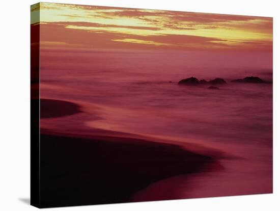 Land's End, Cabo San Lucas-Stuart Westmorland-Stretched Canvas