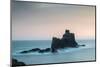 Land's End, Cornwall, England, United Kingdom, Europe-Bill Ward-Mounted Photographic Print