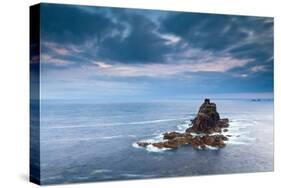 Land's End, Penzance, Cornwall, England, United Kingdom, Europe-Kav Dadfar-Stretched Canvas