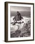 Land's End-Pat Nicolle-Framed Giclee Print