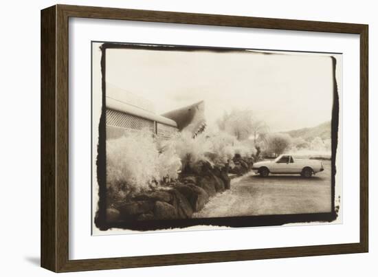 Land Shark, Australia-Theo Westenberger-Framed Photographic Print