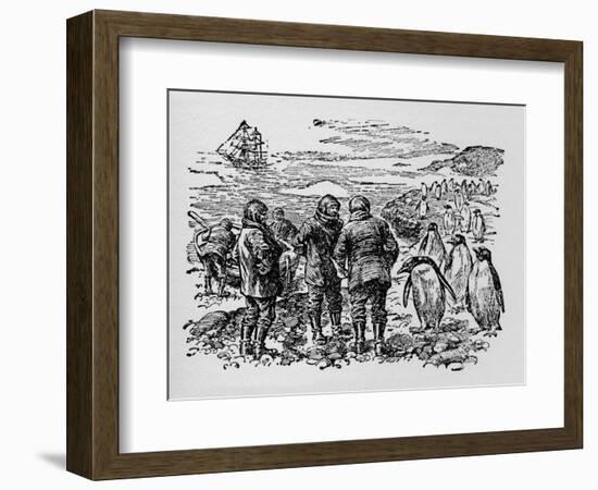 Landed on a Small Island Inhabited by Myriads of Penguins, C1918-null-Framed Giclee Print