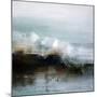 Landfall-Susan Cordes-Mounted Art Print