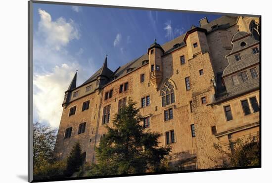 Landgrave Castle-Nick Upton-Mounted Photographic Print