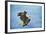 Landing Gear Bald Eagle-Jai Johnson-Framed Giclee Print