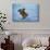 Landing Gear Bald Eagle-Jai Johnson-Giclee Print displayed on a wall