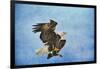 Landing Gear Bald Eagle-Jai Johnson-Framed Giclee Print