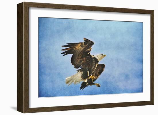 Landing Gear Bald Eagle-Jai Johnson-Framed Giclee Print