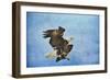 Landing Gear Bald Eagle-Jai Johnson-Framed Giclee Print