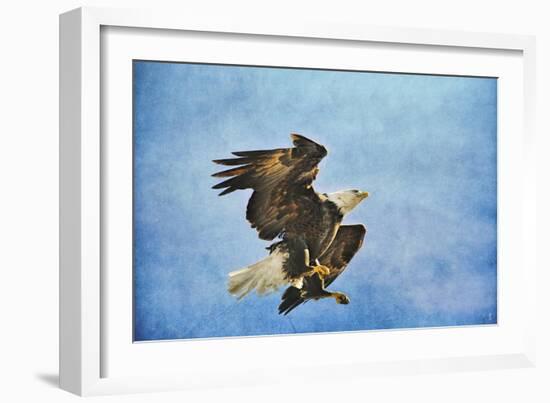 Landing Gear Bald Eagle-Jai Johnson-Framed Giclee Print