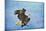 Landing Gear Bald Eagle-Jai Johnson-Mounted Giclee Print