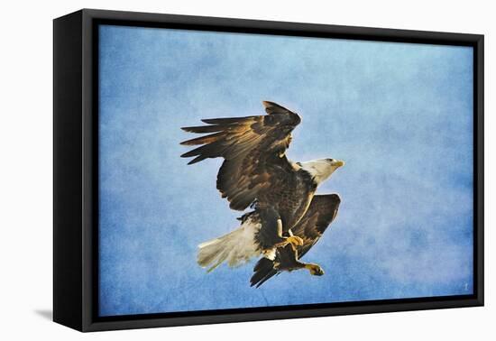 Landing Gear Bald Eagle-Jai Johnson-Framed Stretched Canvas