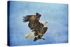 Landing Gear Bald Eagle-Jai Johnson-Stretched Canvas