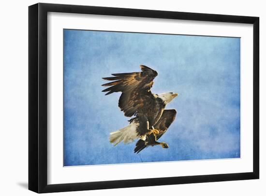 Landing Gear Bald Eagle-Jai Johnson-Framed Premium Giclee Print