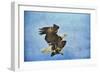 Landing Gear Bald Eagle-Jai Johnson-Framed Premium Giclee Print