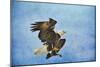 Landing Gear Bald Eagle-Jai Johnson-Mounted Premium Giclee Print